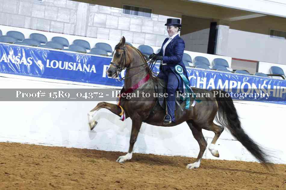 Proof Number 15R9_04372