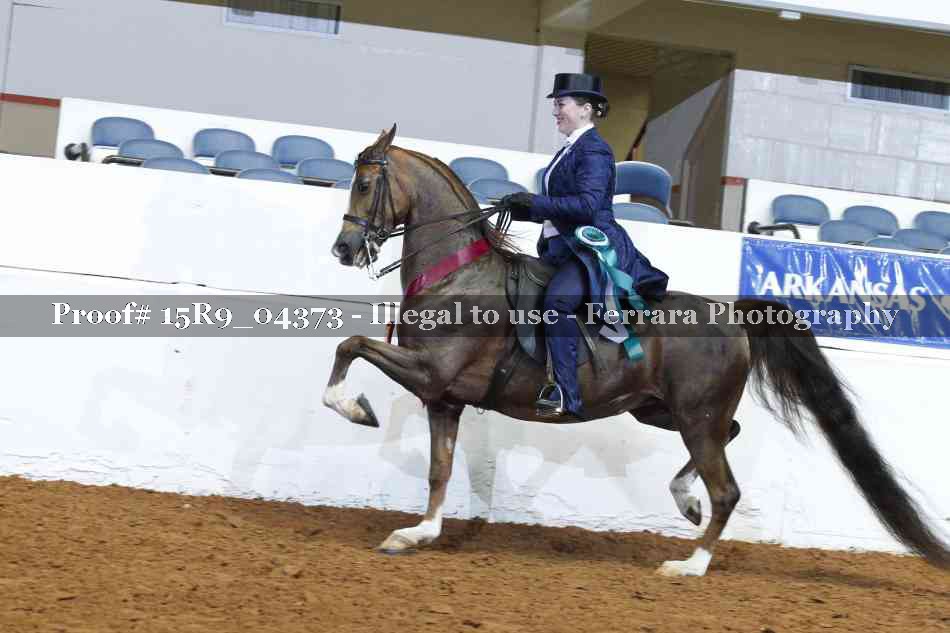 Proof Number 15R9_04373