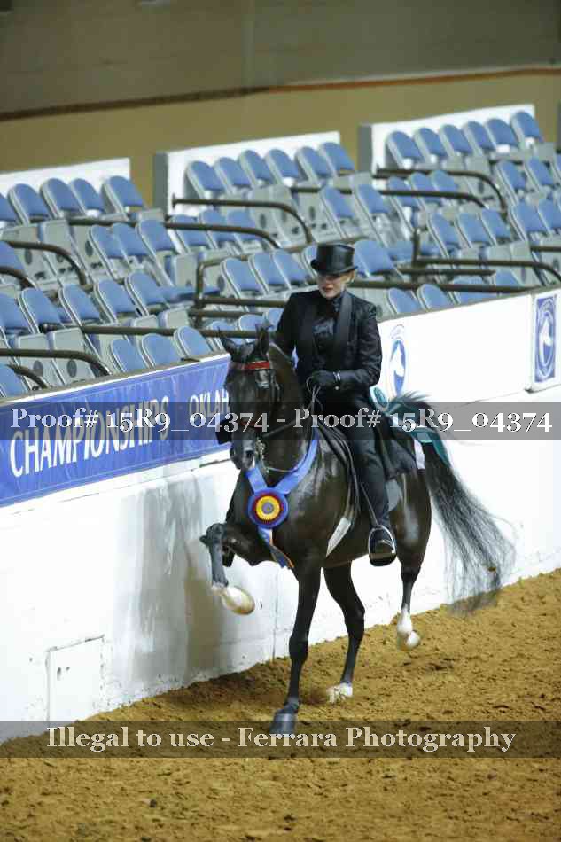 Proof Number 15R9_04374