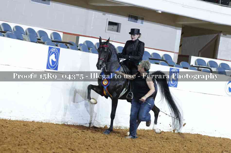 Proof Number 15R9_04375