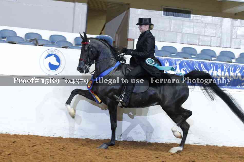 Proof Number 15R9_04379