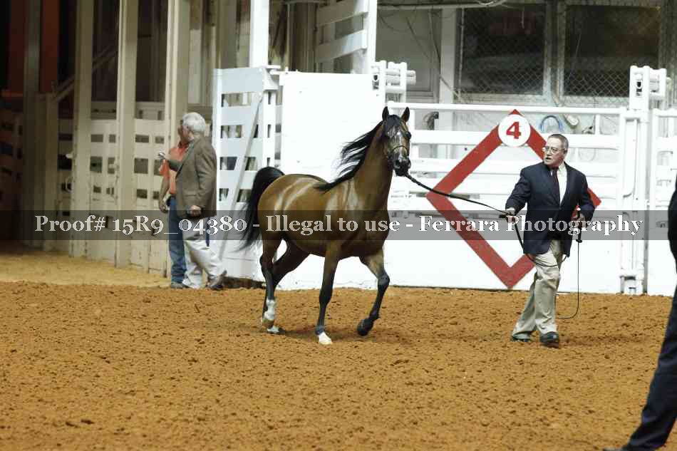 Proof Number 15R9_04380
