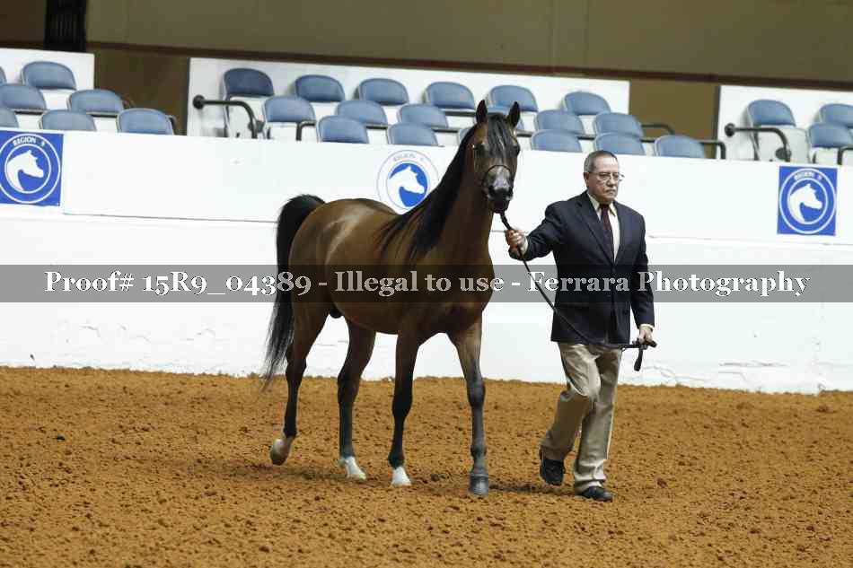 Proof Number 15R9_04389