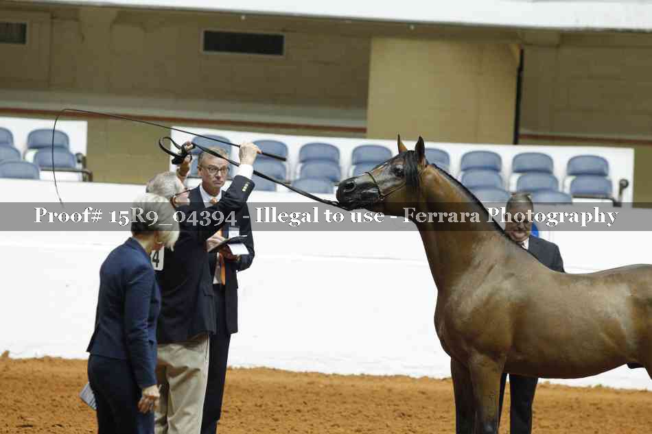 Proof Number 15R9_04394