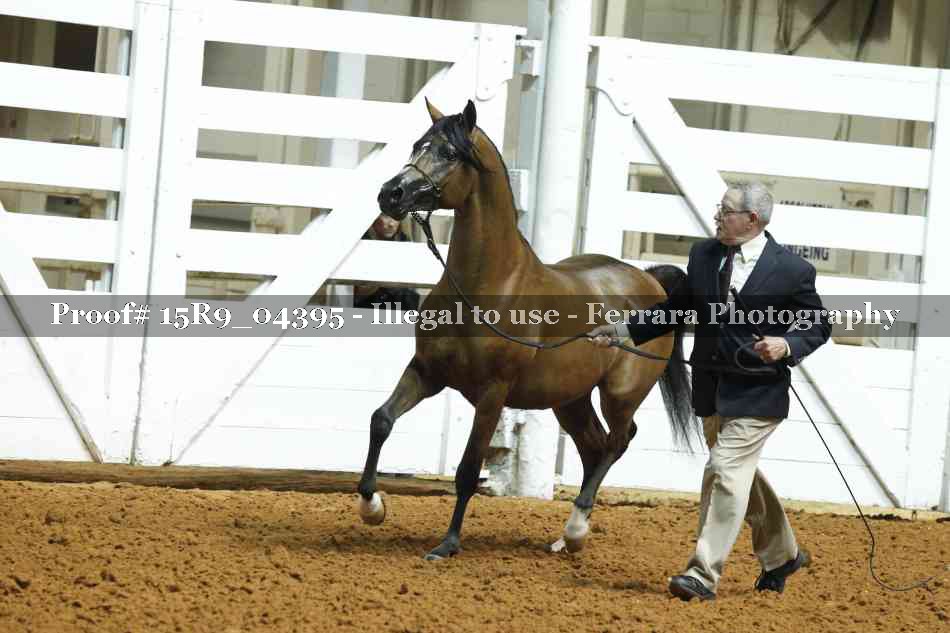 Proof Number 15R9_04395