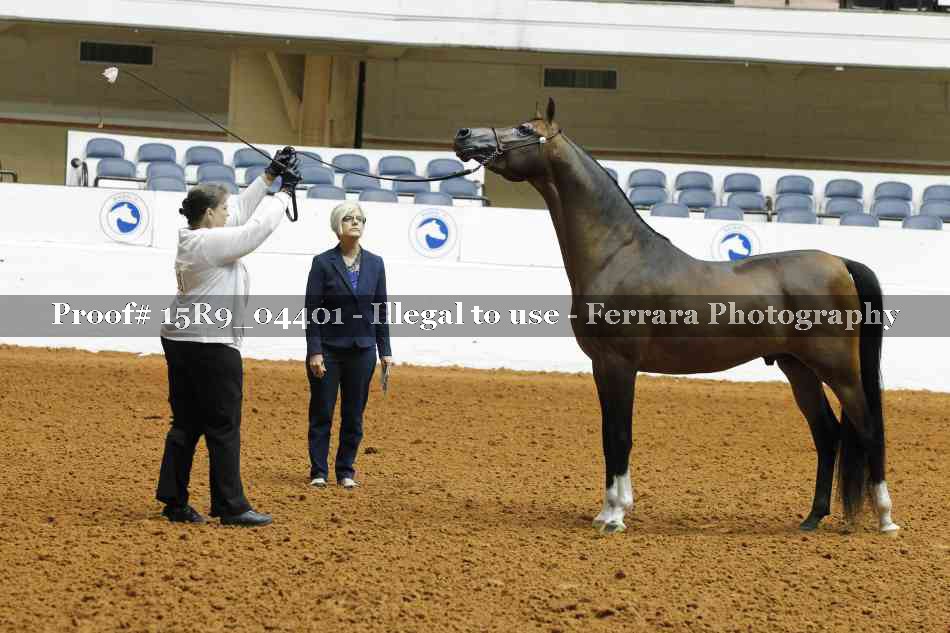 Proof Number 15R9_04401