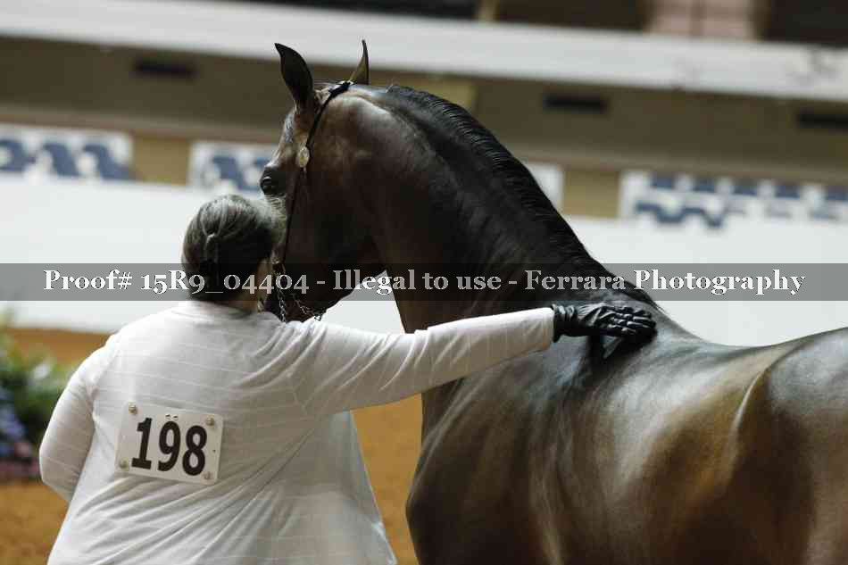 Proof Number 15R9_04404