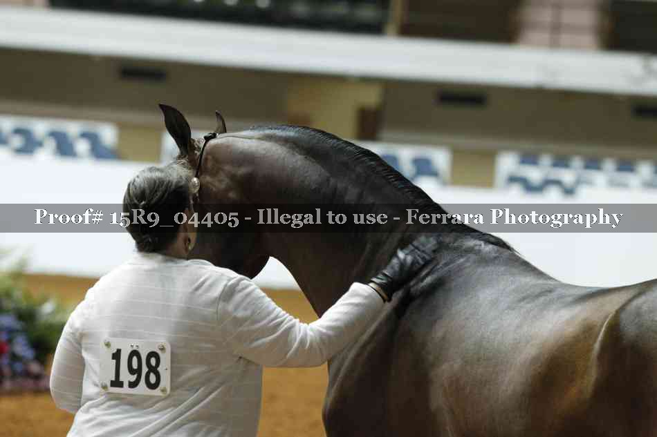Proof Number 15R9_04405