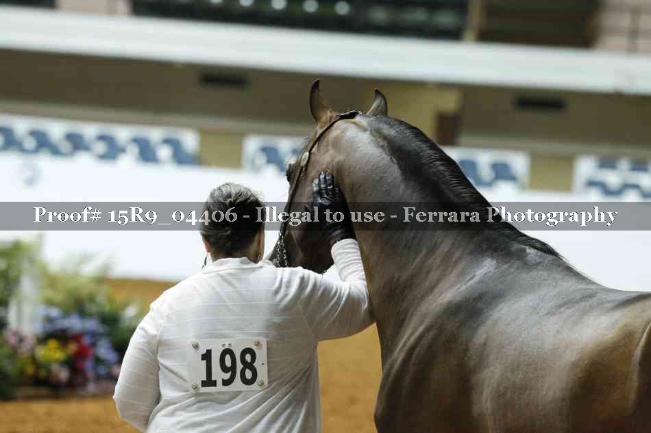 Proof Number 15R9_04406