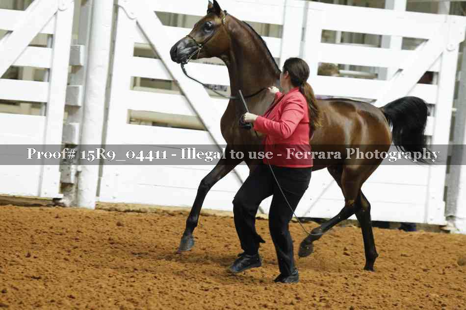 Proof Number 15R9_04411