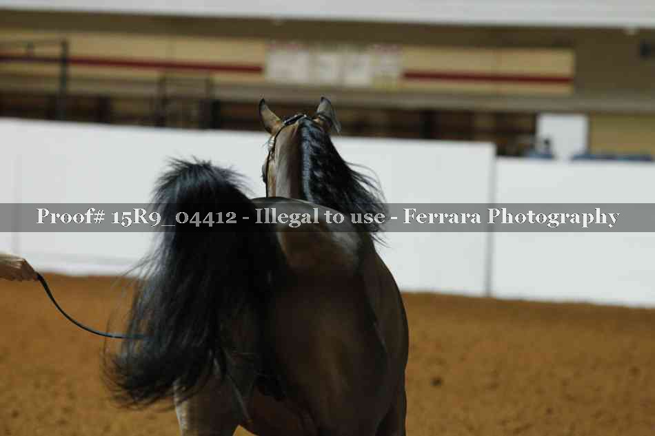 Proof Number 15R9_04412