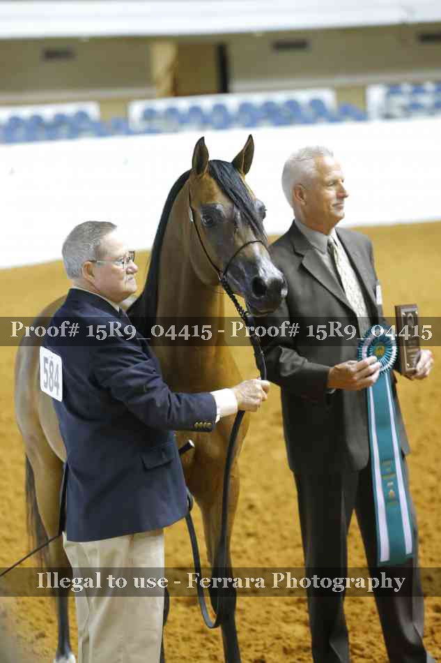 Proof Number 15R9_04415