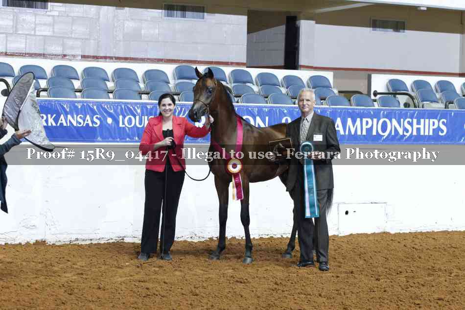 Proof Number 15R9_04417