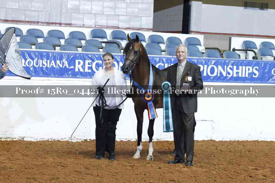 Proof Number 15R9_04421