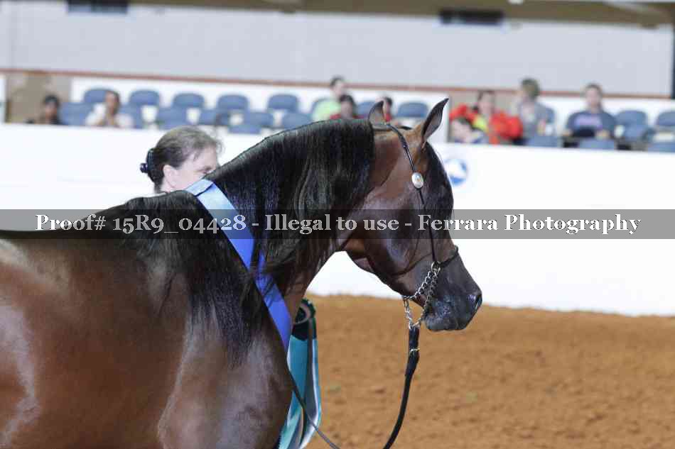 Proof Number 15R9_04428