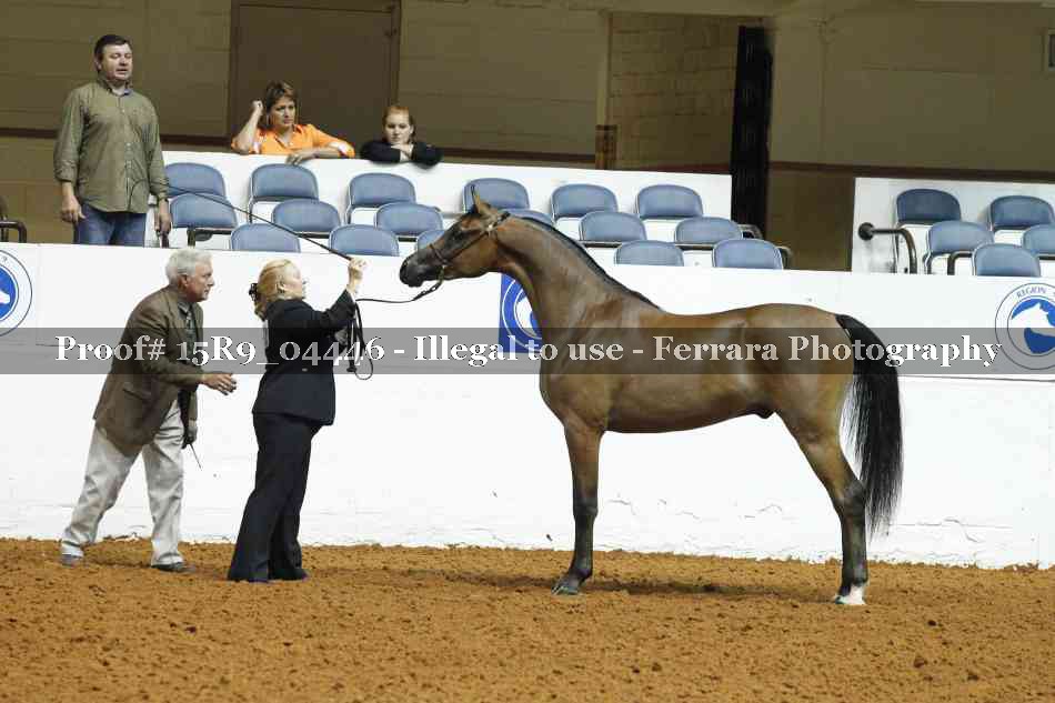 Proof Number 15R9_04446