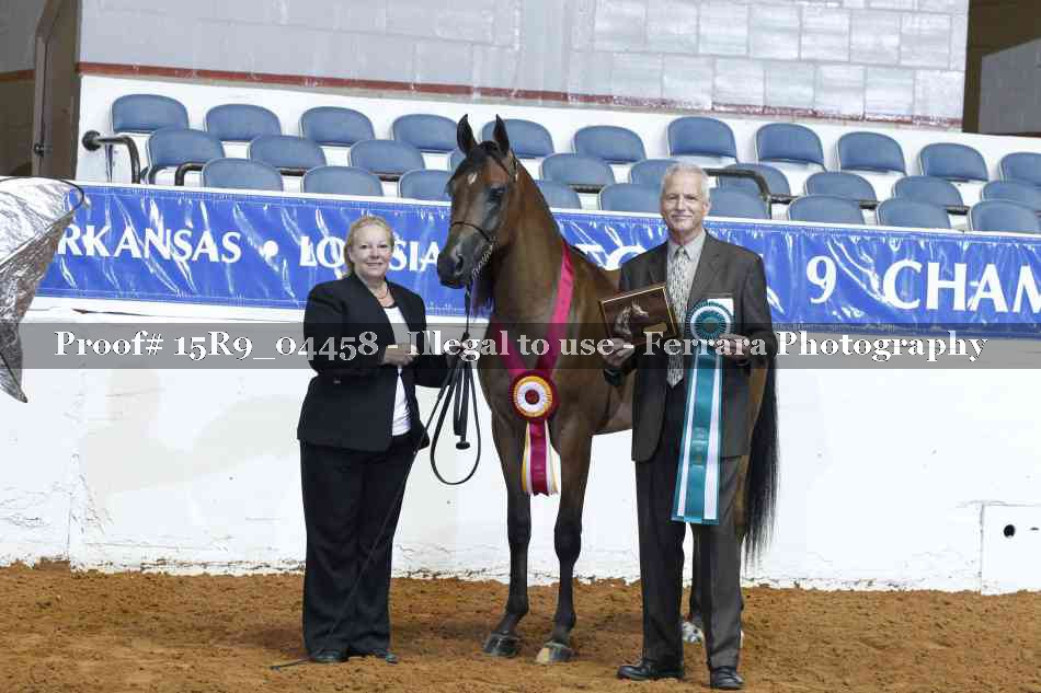 Proof Number 15R9_04458