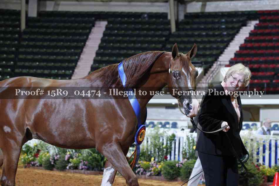 Proof Number 15R9_04474