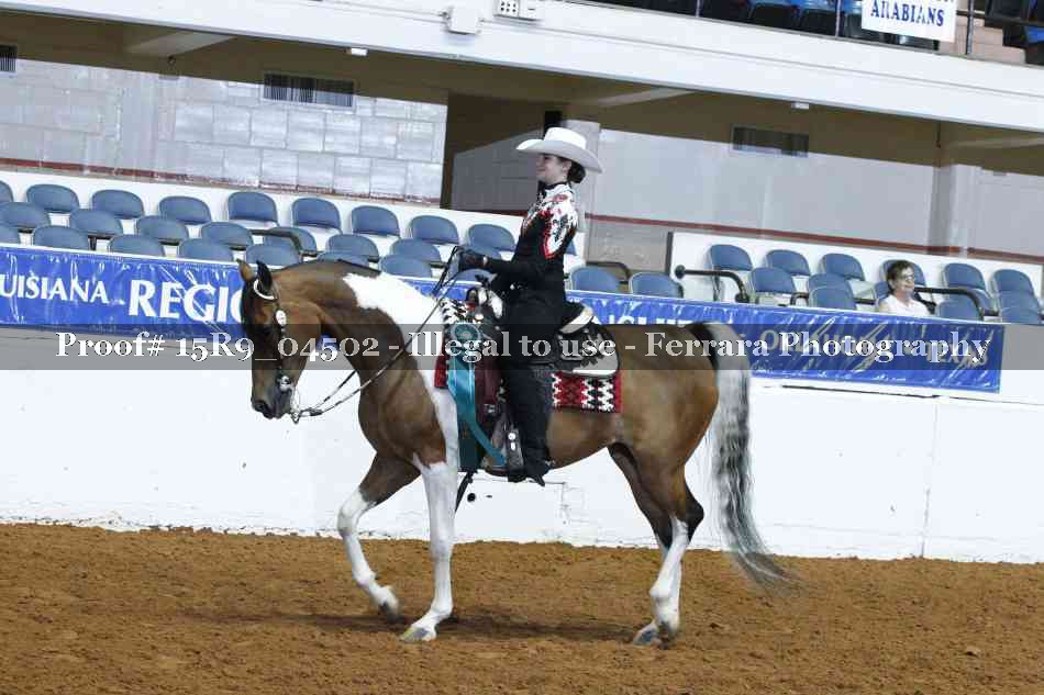 Proof Number 15R9_04502