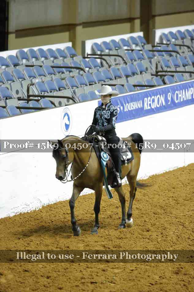 Proof Number 15R9_04507