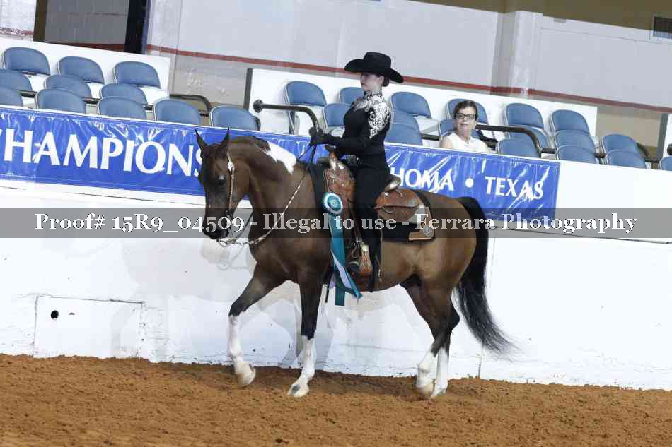 Proof Number 15R9_04509