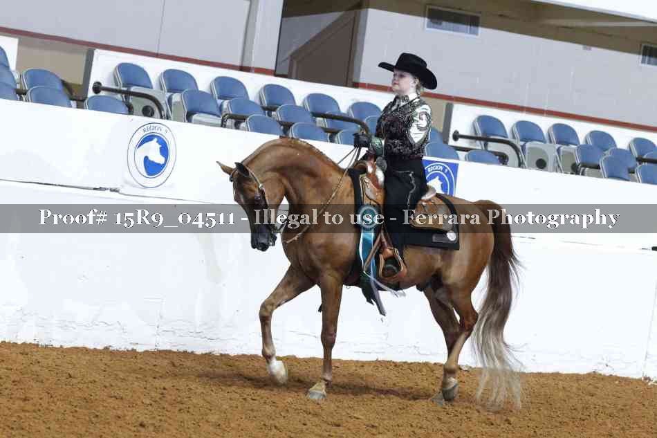 Proof Number 15R9_04511