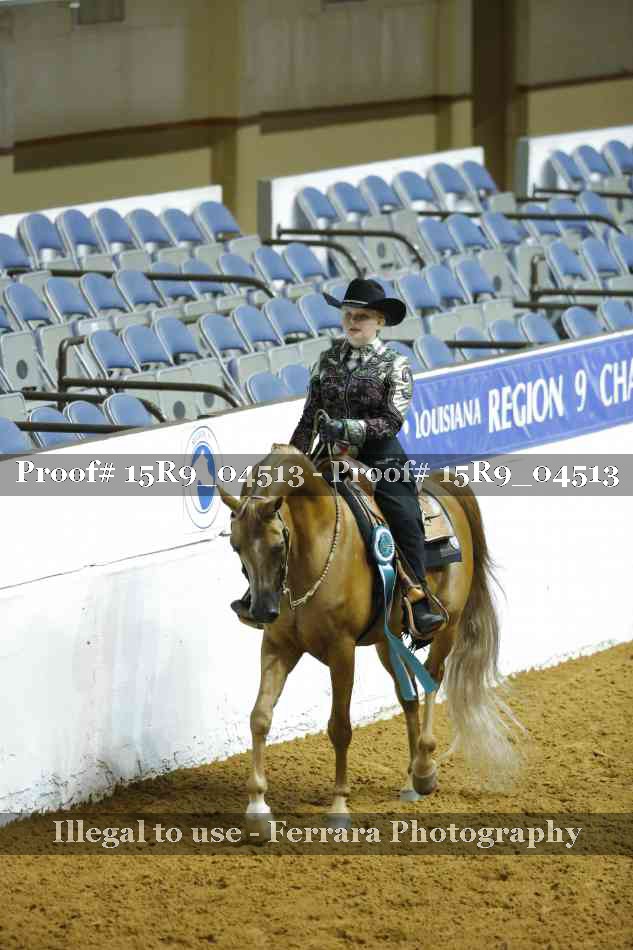 Proof Number 15R9_04513