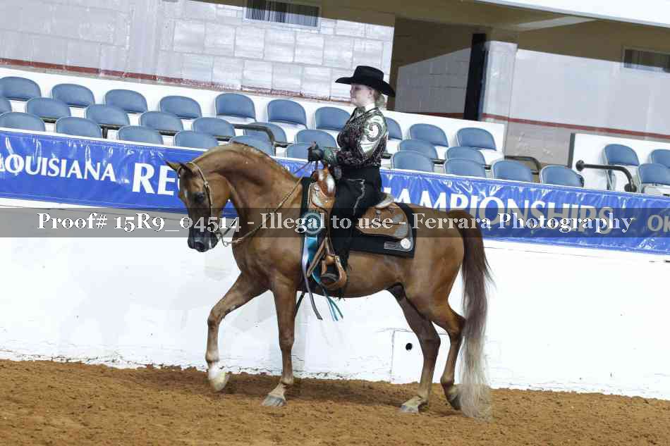 Proof Number 15R9_04514