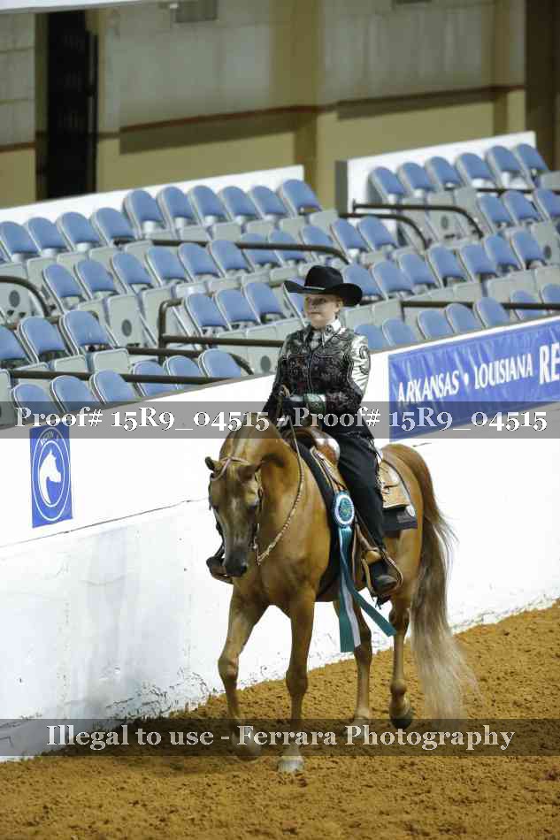 Proof Number 15R9_04515