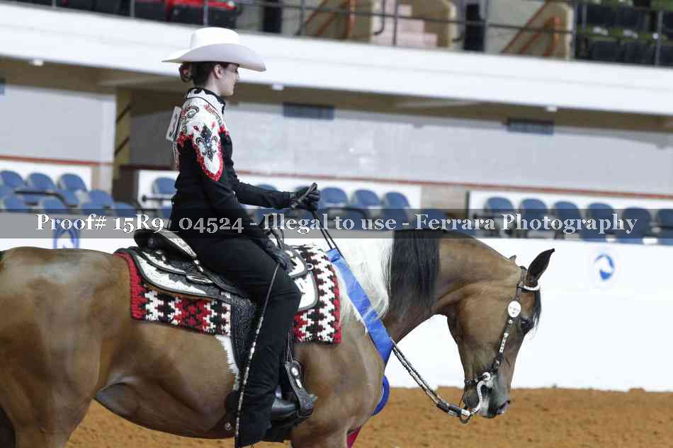 Proof Number 15R9_04524