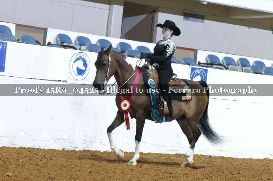 Proof Number 15R9_04525