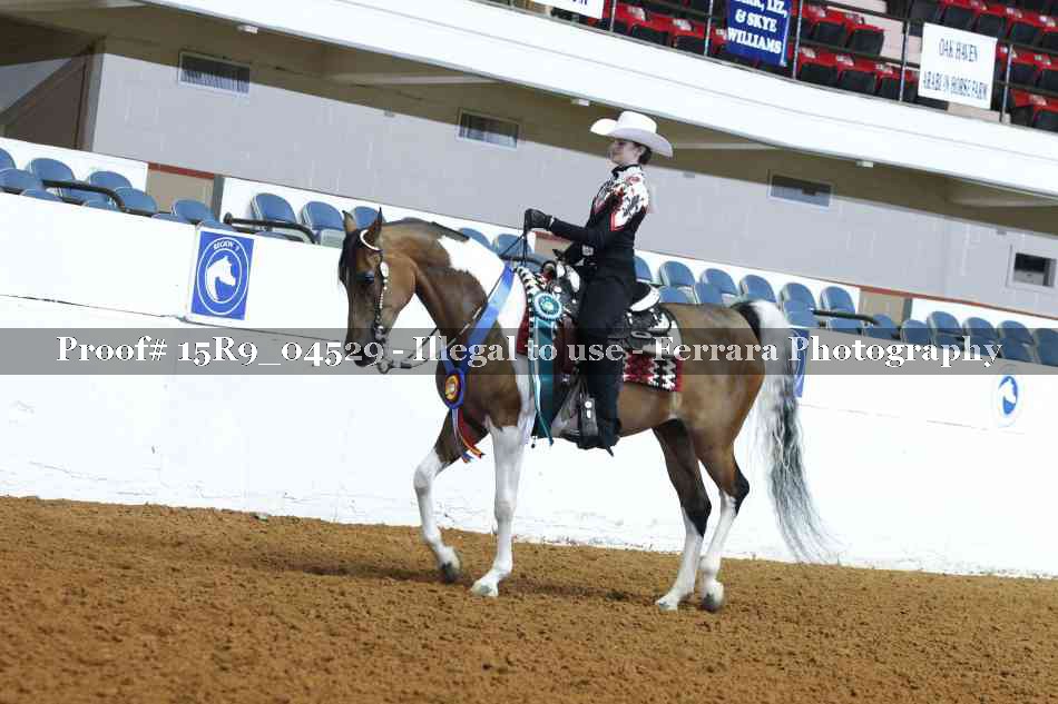 Proof Number 15R9_04529
