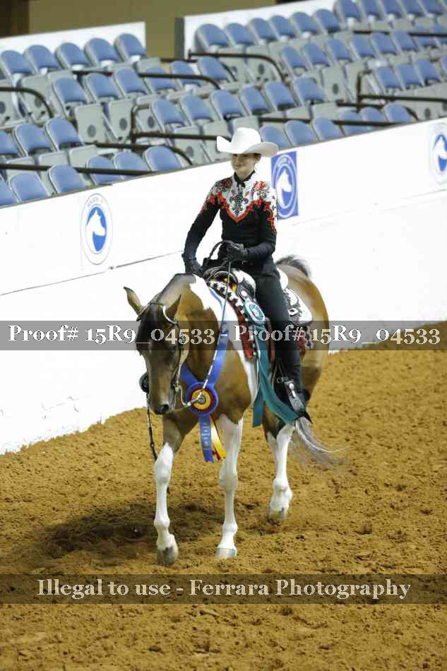 Proof Number 15R9_04533