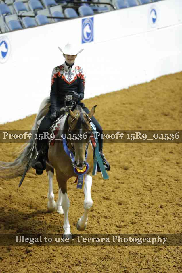 Proof Number 15R9_04536