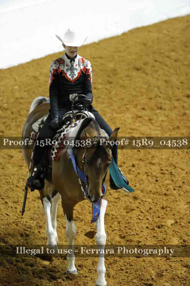 Proof Number 15R9_04538