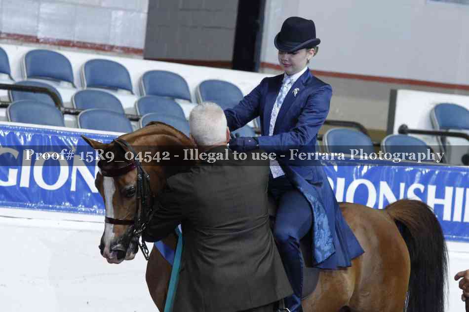 Proof Number 15R9_04542