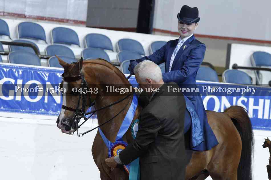 Proof Number 15R9_04543