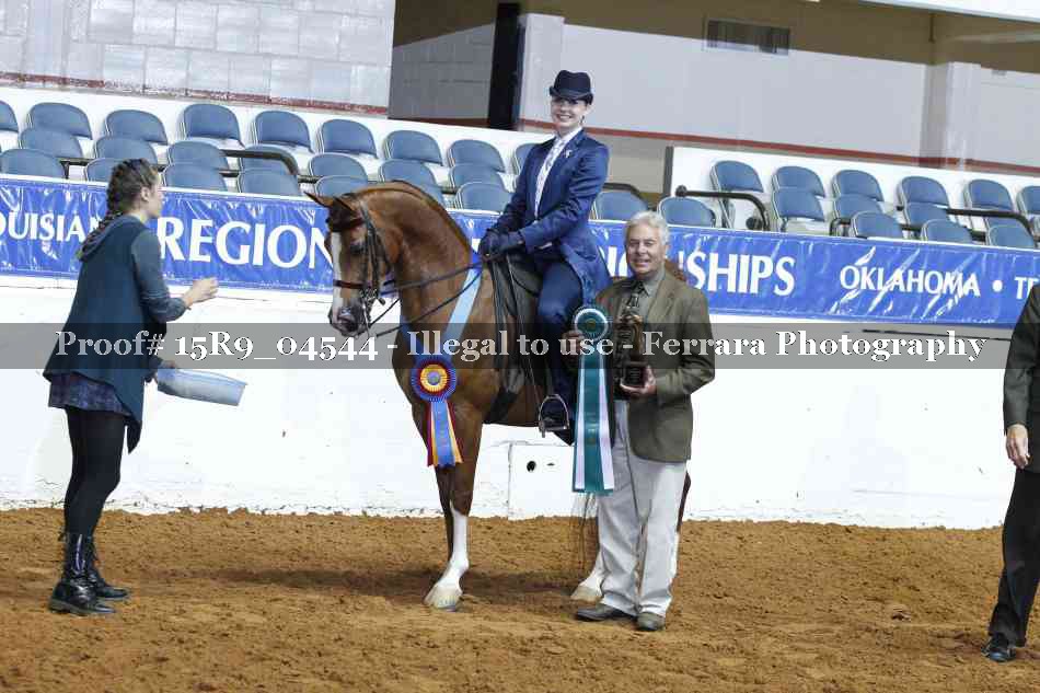 Proof Number 15R9_04544