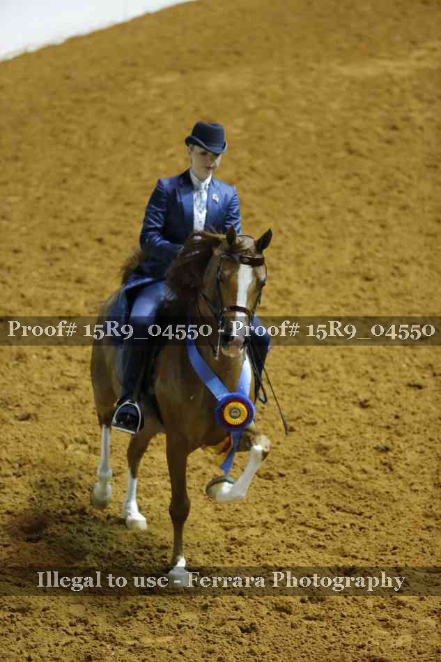 Proof Number 15R9_04550