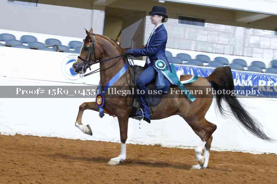 Proof Number 15R9_04551