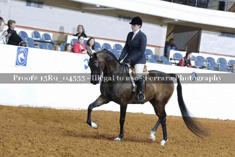 Proof Number 15R9_04555