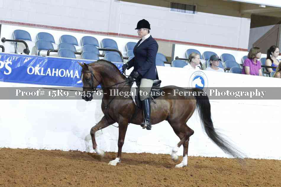 Proof Number 15R9_04576