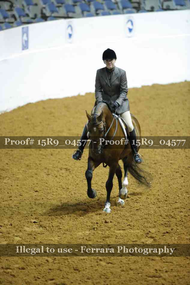 Proof Number 15R9_04577