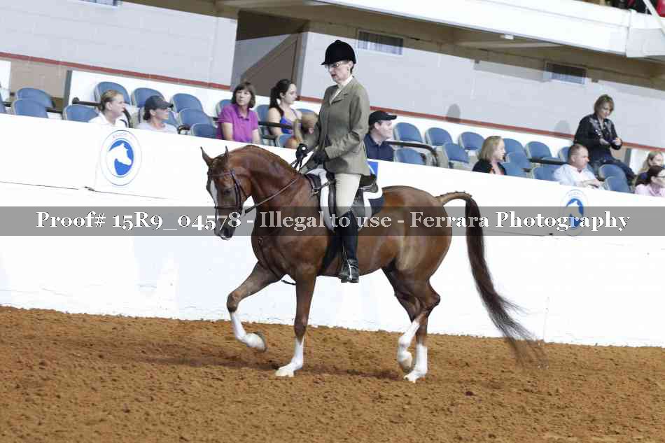 Proof Number 15R9_04578