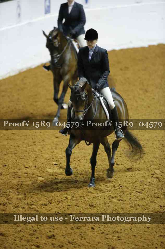 Proof Number 15R9_04579