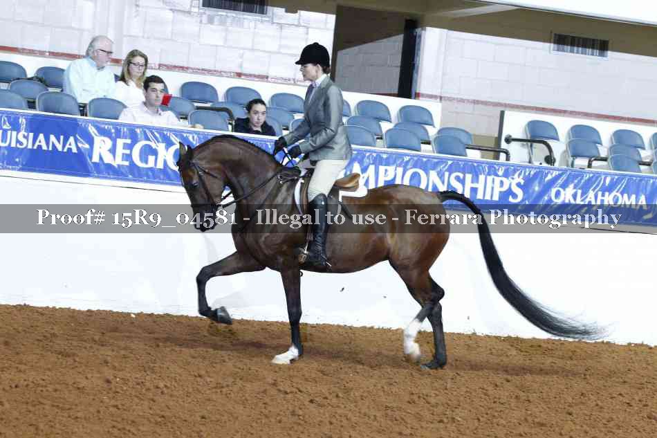 Proof Number 15R9_04581