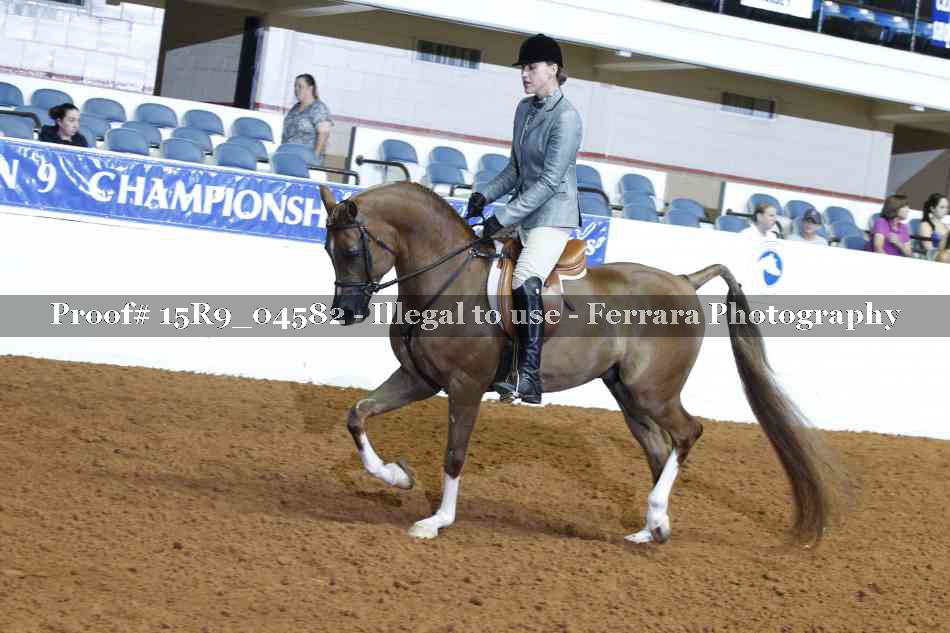 Proof Number 15R9_04582
