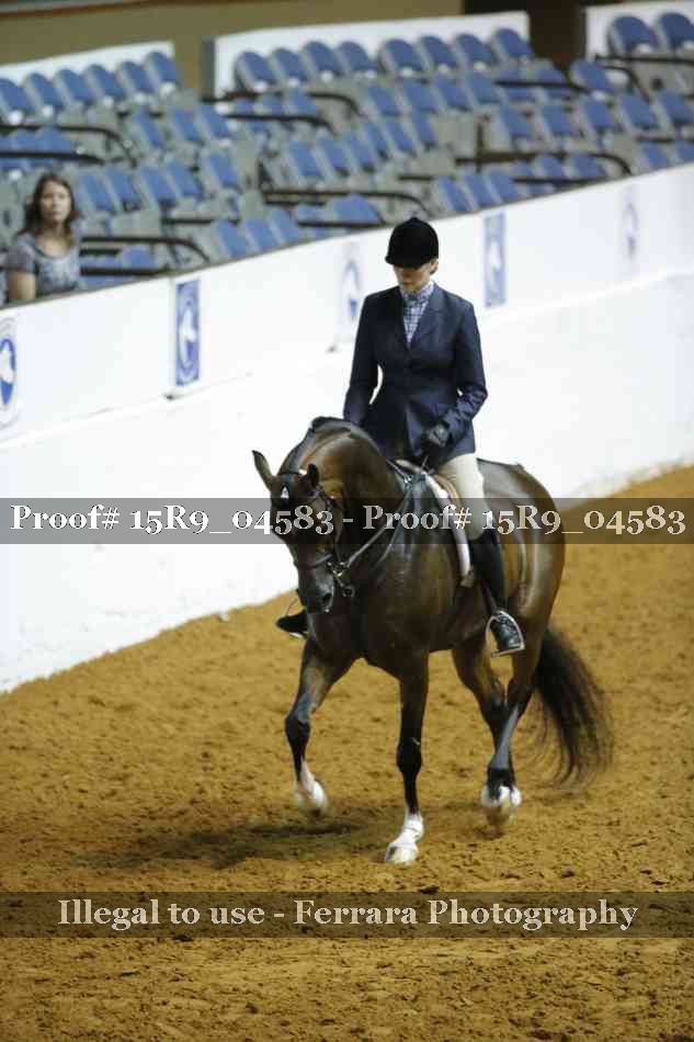 Proof Number 15R9_04583