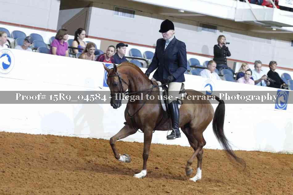 Proof Number 15R9_04584