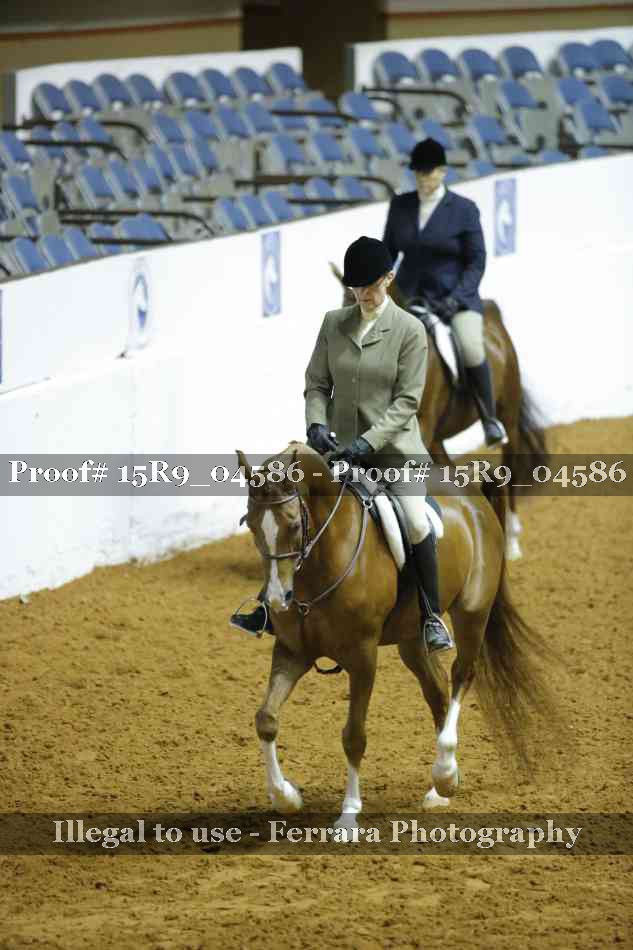 Proof Number 15R9_04586
